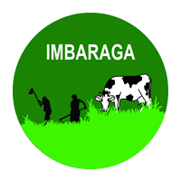 Imbaraga
