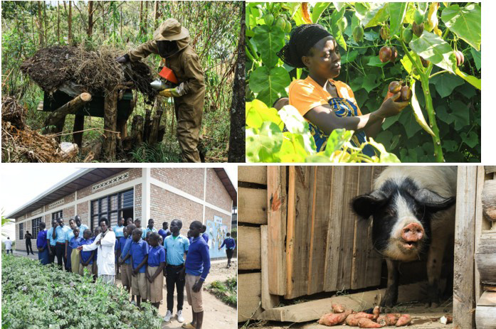 RCID climate change project